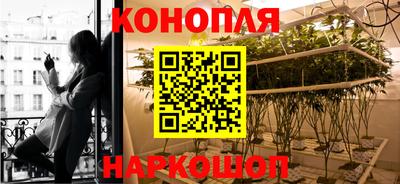 стафф Жуковский