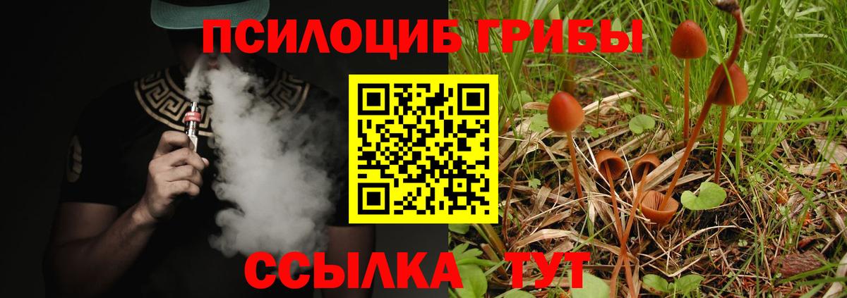 Галлюциногенные грибы Psilocybe Углич